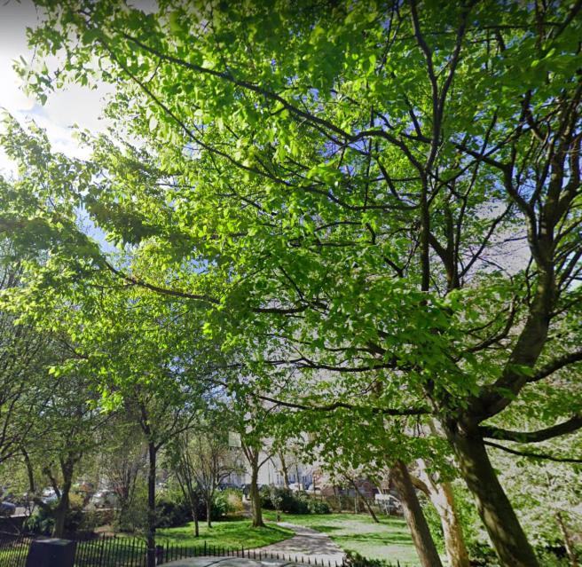 Notting Hill Light & Airy Londra